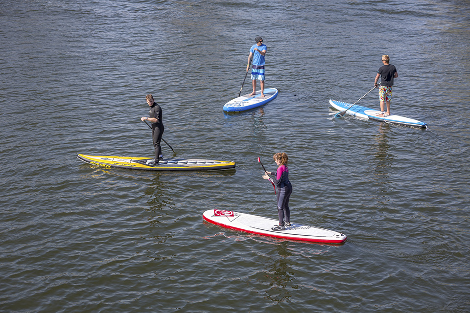 Blue Chip SUP Demo