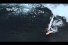 NICOLE PACELLI – PEAHI, JAWS