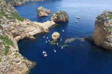 SUP BRO PADDLE BOARDING NZ & FISH TUTUKAKA’S POOR KNIGHTS TOUR