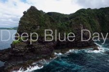 ZANE’S DEEP BLUE DAY