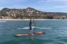 PADDLING WITH A GRAY WHALE IN LAGUNA BEACH