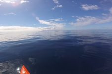 STAND UP PADDLING WITH SINGING WHALES