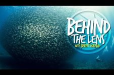 BEHIND THE LENS OF UNDERWATER PHOTOGRAPHER BRENT DURAND