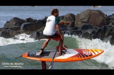 CHRIS DE ABOITIZ – SURFING DOGS