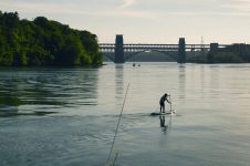 PSYCHED PADDLEBOARDING – SUP SAFARI