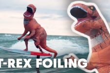 LIFE SIZE T-REX FOILING UNTAMED WAVES – T-REX SUP