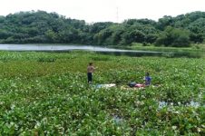 EXPLORATION OF SUP IN THE WATERS OF EMEI LAKE, HSINCHU