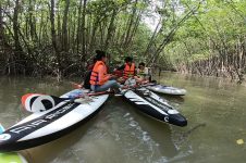 THE LITTLE AMAZON | PICNIC ON SUP