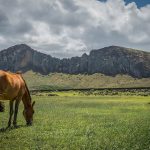 14. Easter Island 1500px