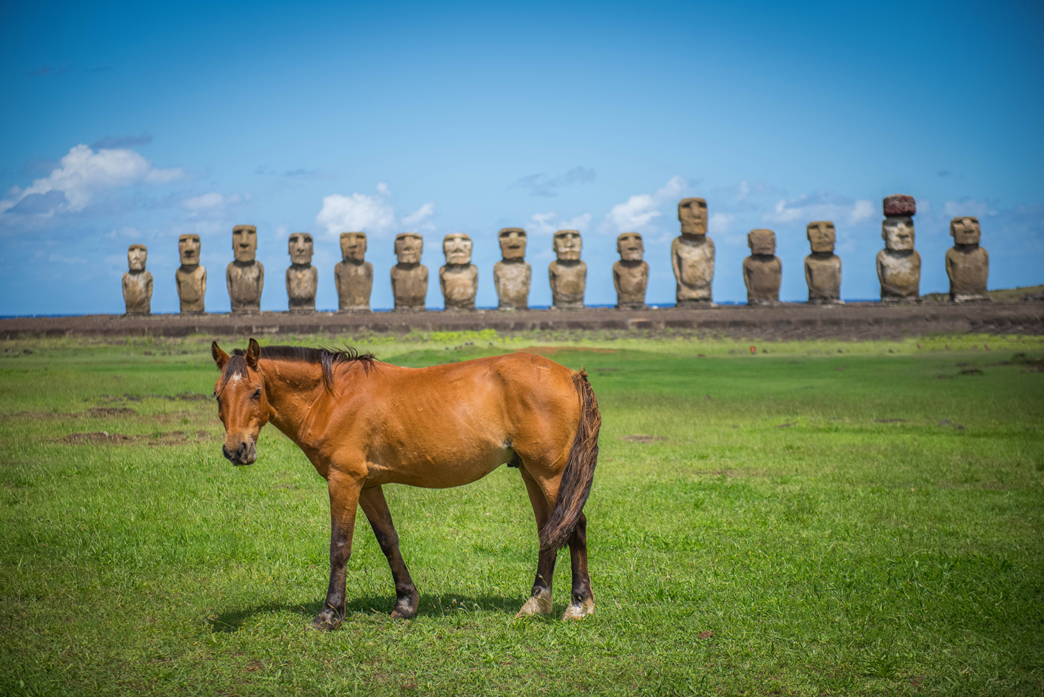15. Easter Island 1500px