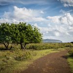 20. Easter Island 1500px