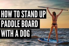 HOW TO STAND UP PADDLE BOARD WITH A DOG