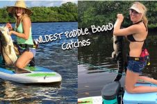 MY WILDEST PADDLE BOARD CATCHES