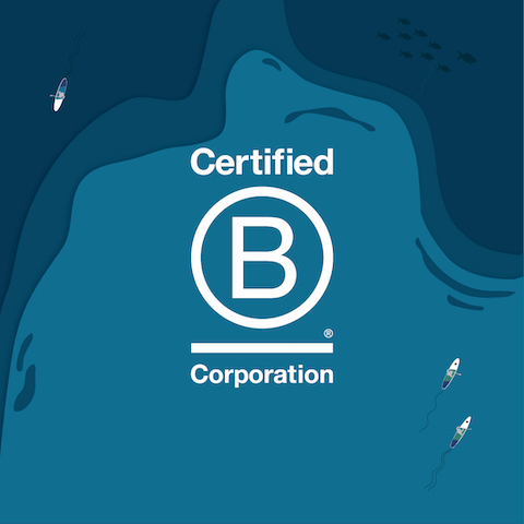 bcorp announcement-email header