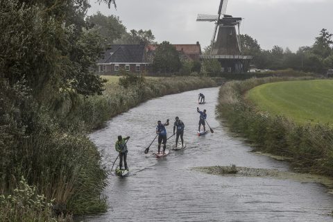 Typical Dutch scenery