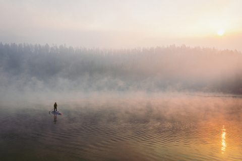 Testing in the mist